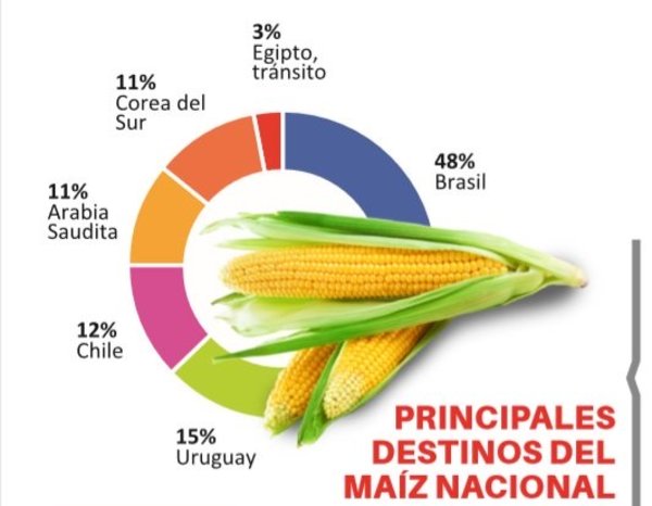 Exportaciones de maíz se retraen 17%