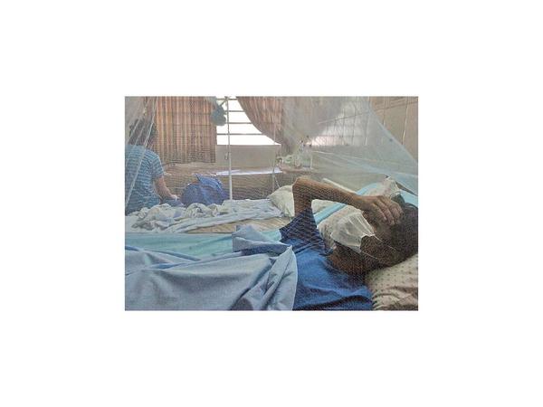 Salud estudia un caso de supuesta muerte  a causa de dengue grave