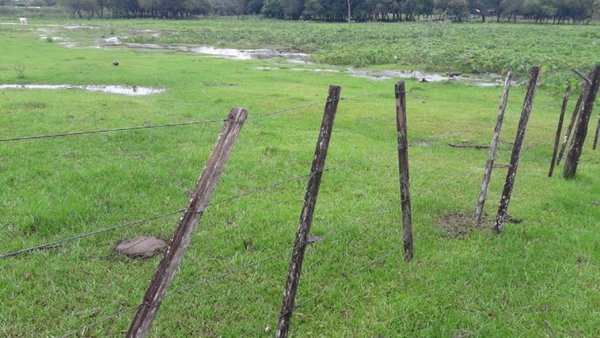 Dos primos, de 19 y 9 años, mueren electrocutados en San Pedro – Prensa 5