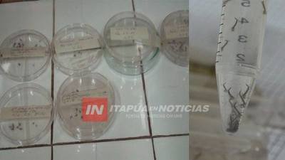 DE 150 CASOS SOSPECHOSOS HAY 18 POSITIVOS DE DENGUE TIPO 04.