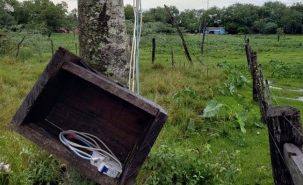 Primos mueren electrocutados al hacer contacto con un alambrado