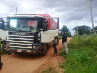 Incautan dos camiones de madera nativa extraída de reserva forestal » Ñanduti