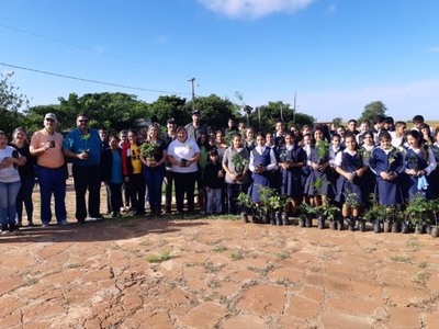 PLANTATON EN SAN JUAN DEL PARANÁ