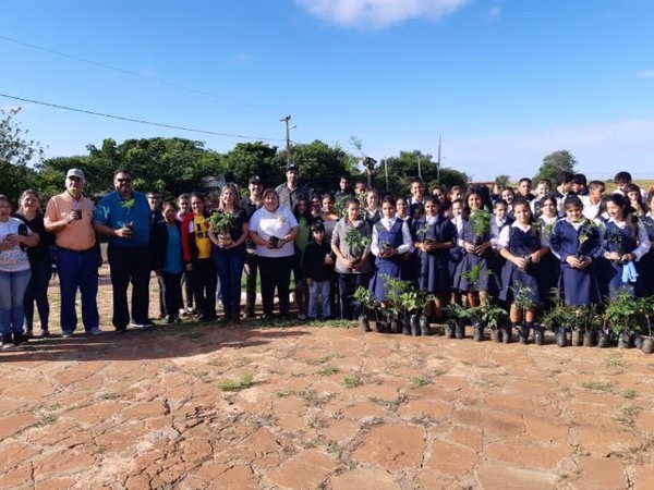 PLANTATON EN SAN JUAN DEL PARANÁ