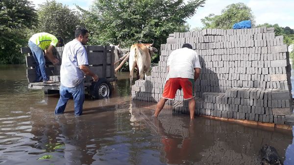 Desborde de río ocasiona millonarias pérdidas a oleros en San Pedro