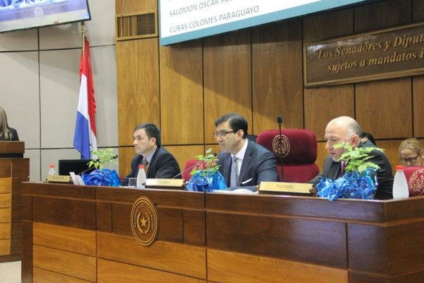 Crean comisión especial para investigar metrobús | Paraguay en Noticias