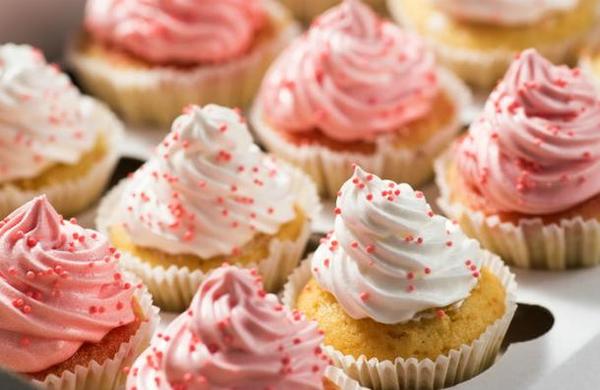 Turista intenta pasar tortugas a través del aeropuerto como si fueran cupcakes - C9N