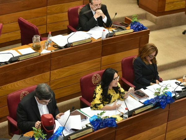 Cámara de Senadores se declara provida y profamilia