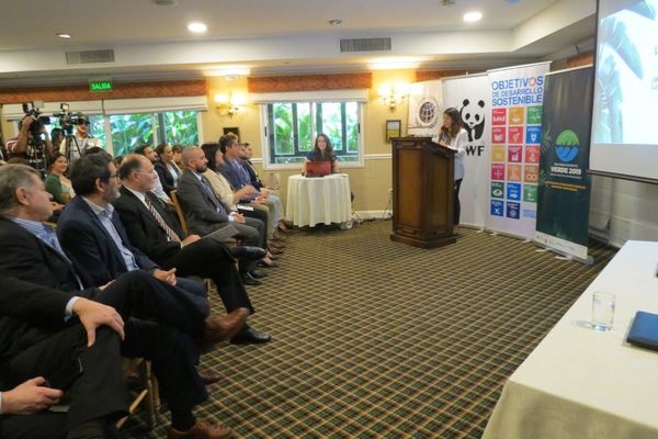 Lanzamiento del RECONOCIMIENTO VERDE 2019