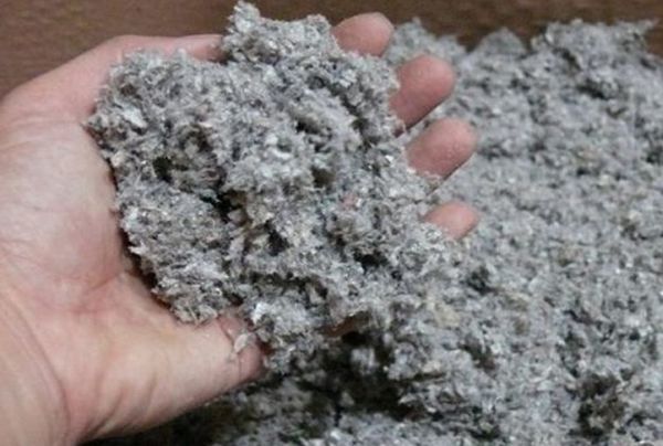 Combustible para aviones a base de restos de plantas y celulosa - Ciencia - ABC Color