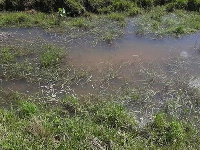Caaguazú: Niña de 3 años fallece ahogada en La Pastora