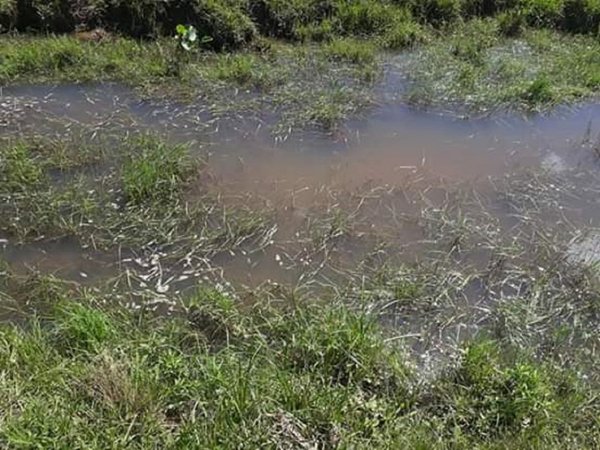 Caaguazú: Niña de 3 años fallece ahogada en La Pastora
