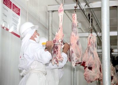 Auditoría de Israel a la carne fue aprobada satisfactoriamente