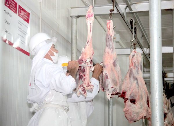 Auditoría de Israel a la carne fue aprobada satisfactoriamente
