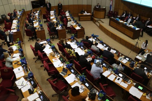 Senado ojedeklara provida ha profamilia tradicional - Especiales - ABC Color