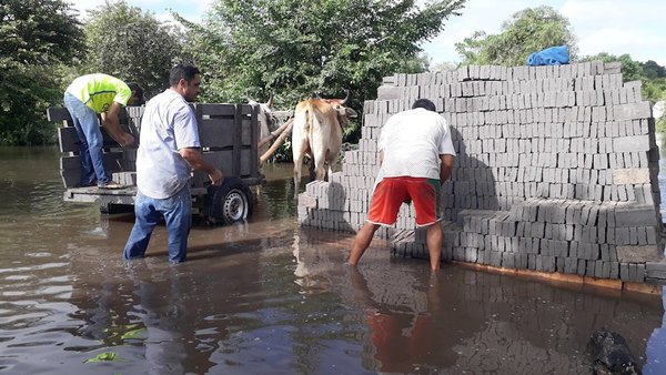 SAN PEDRO: Pérdida millonaria para oleros a causa de lluvias
