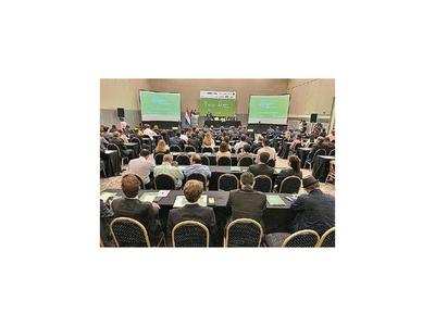 Paraguay se prepara para incursionar en bonos verdes