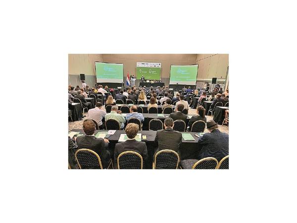 Paraguay se prepara para incursionar en bonos verdes