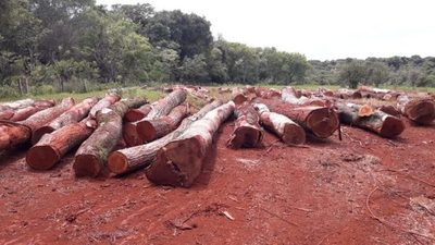 Perversa intención de priorizar el dinero antes que el Área Silvestre Protegida, en Tagatiya Mi