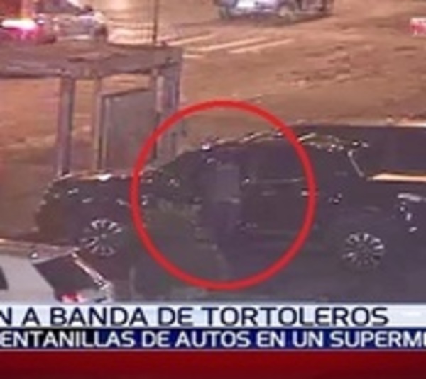 Detienen a banda de tortoleros tras persecución - Paraguay.com