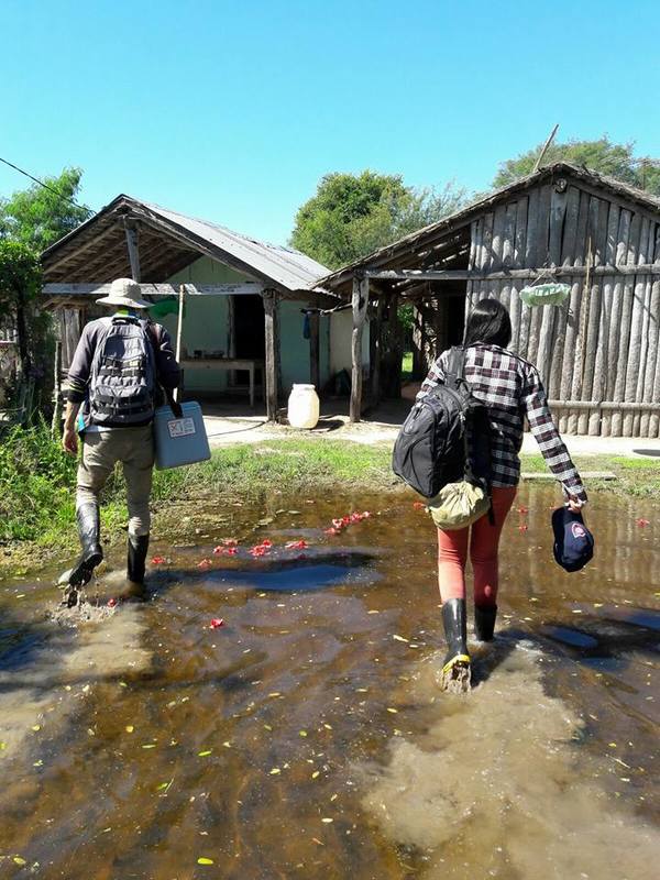 Casi 8.000 familias afectadas por inundaciones, muchas ya retornan a sus viviendas | .::Agencia IP::.