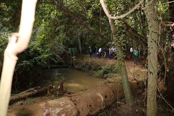 Día Mundial del Agua: buscan declaran reserva natural al arroyo Poti’y