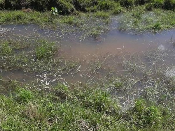 Niña de 3 años fallece ahogada en La Pastora