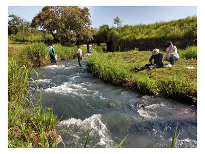 Investigan efectos de agrotóxicos en Paraguay y Brasil