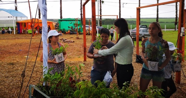Vivero Forestal de ITAIPU produjo más de 100.000 plantines en febrero