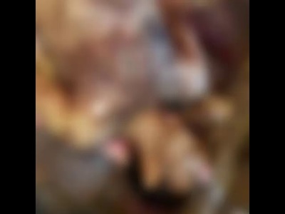 ANCIANO SE DEFIENDE Y MATA A UN JOVEN EN TRINIDAD