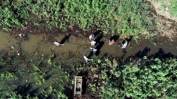 “Un día por tu bahía” busca limpiar la costa del río Paraguay