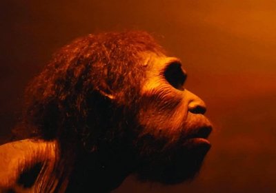 La alimentación puede determinar los sonidos que pronuncia el ser humano - Ciencia - ABC Color