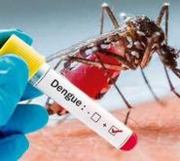 Se disparan casos de dengue: 305 nuevos casos en la última semana - Paraguay.com