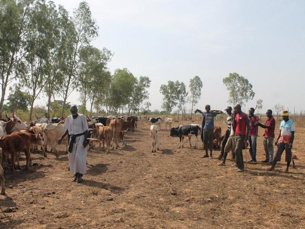 Más de 100 muertos en matanza interétnica en el centro de Mali