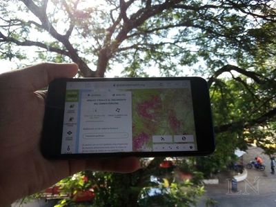 Controlar bosques, en casi tiempo real y desde el celular