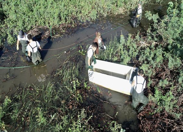 “Un día en tu Bahía” unió fuerza de voluntad y conciencia ambiental