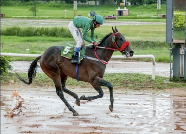 Tarde de carreras en el Tembetary