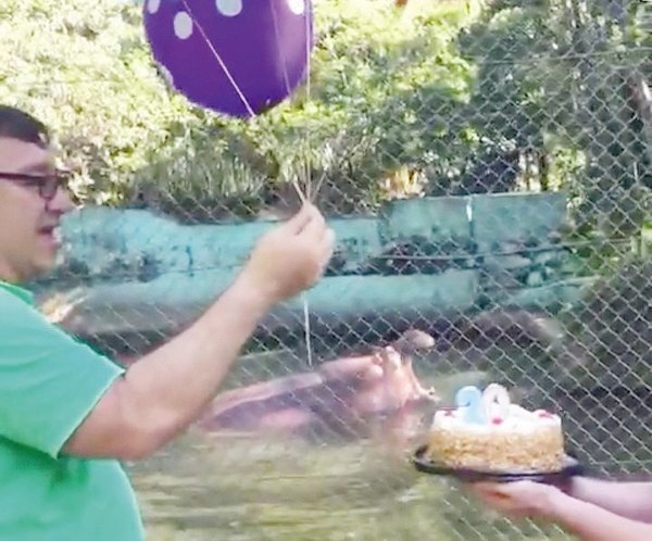 “Rayito de Sol” cumplió 20 años de vida en el zoo