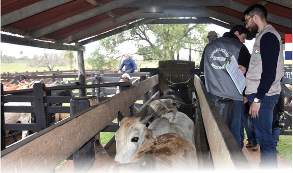 Más de 14.600.000 animales fueron vacunados contra la fiebre aftosa y brucelosis