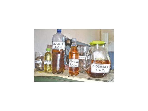 Sector de biodiésel: Alerta por insistencia con oscuro proyecto