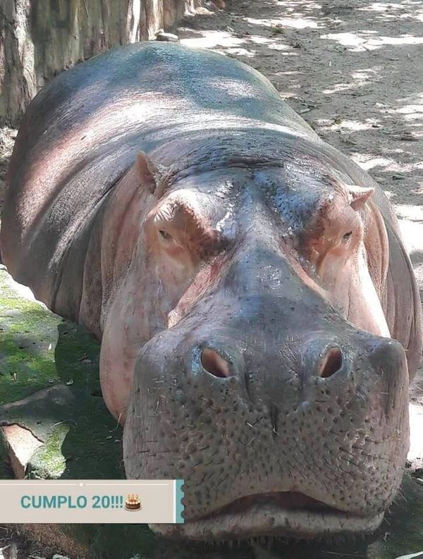 El “Rayito de Sol” del jardín botánico cumplió 20 años