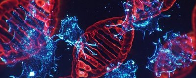 Desarrollan un fármaco que bloquea un gen clave en cáncer - ADN Paraguayo