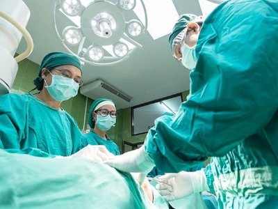 Desarrollan técnica para descontaminar órganos trasplantados