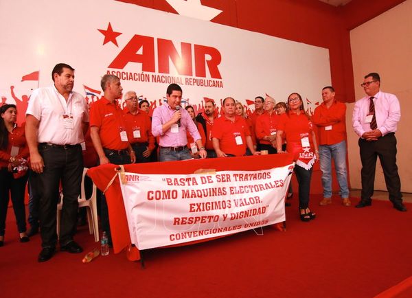 Cambios en los estatutos de la ANR afectarán a 670.000 jóvenes afiliados