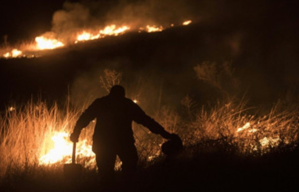 Reserva tropical arde en un incendio - Radio 1000 AM