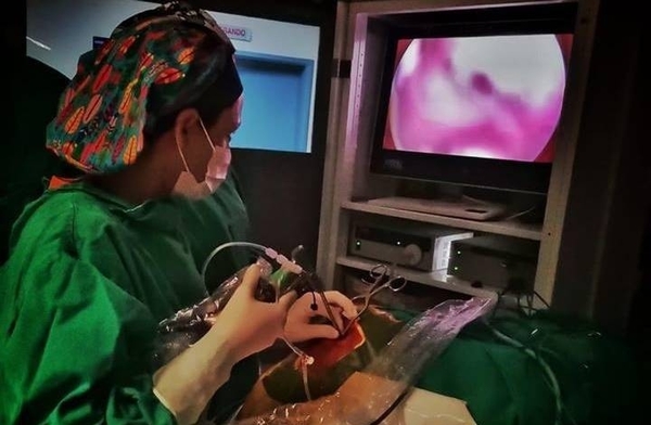 HOY / Extraen tumor cerebral de paciente en procedimiento breve y mini invasivo