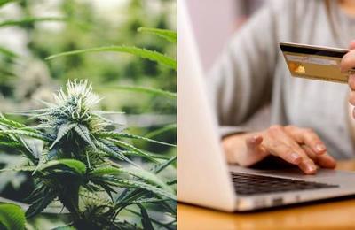 ¿Sabías que lo primero que se compró en Internet fue marihuana? - C9N