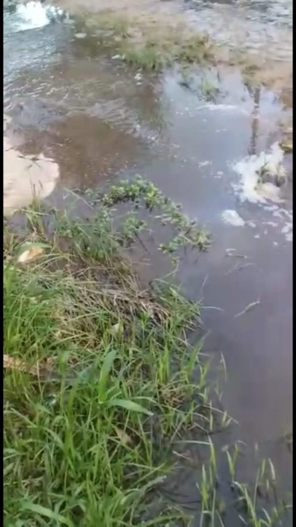 Piden intervención de la Seam ante contaminación ambiental