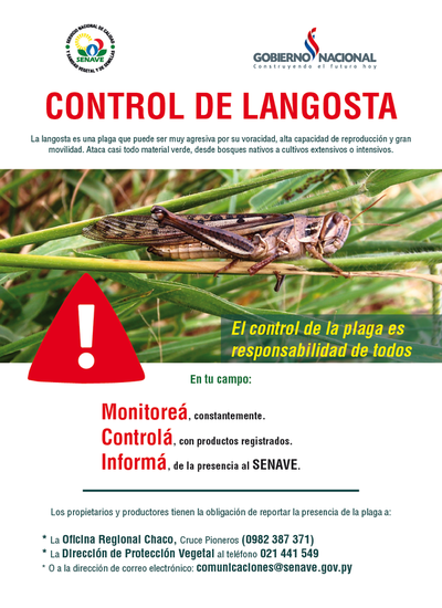SENAVE monitorea avance de langostas en el Chaco - .::RADIO NACIONAL::.