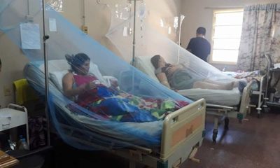 Dengue: Embarazadas deben extremar cuidados